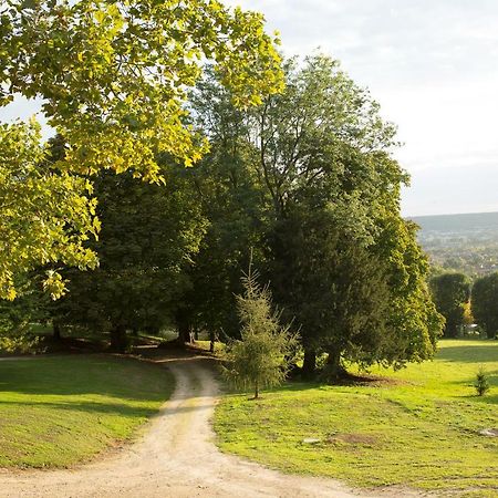 La Clairiere De La Reine Hortense - Pierres D'Histoire Saint-Prix  Exteriér fotografie